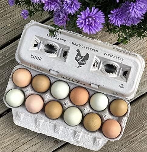 25 קרטוני ביצים-עיצוב וינטג ' מודפס מקסים לביצים טריות בחווה, קרטון נייר ממוחזר, חסון וניתן לשימוש חוזר, קרטון מחזיק עד ביצי עוף